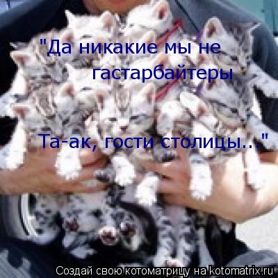 гастарбайтеры "Да никакие мы не Та-ак, гости столицы..."... Котоматрица: гастарбайтеры "Да никакие мы не Та-ак, гости столицы..."