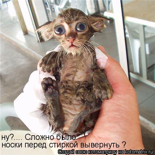 ну?.... Сложно было носки перед стиркой вывернуть ?... Котоматрица: ну?.... Сложно было носки перед стиркой вывернуть ?