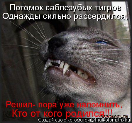 Кто от кого родился!!! Решил- пора уже напомнить, Однажды сильно рассердился, Потомок саблезубых тигр... Котоматрица: Кто от кого родился!!! Решил- пора уже напомнить, Однажды сильно рассердился, Потомок саблезубых тигров