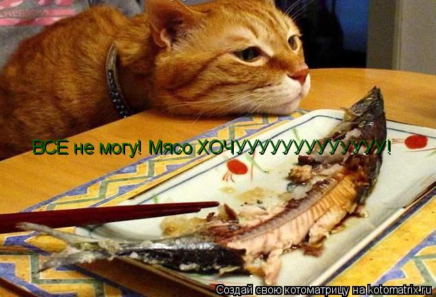 ВСЕ не могу! Мясо ХОЧУУУУУУУУУУУУУ!... Котоматрица: ВСЕ не могу! Мясо ХОЧУУУУУУУУУУУУУ!