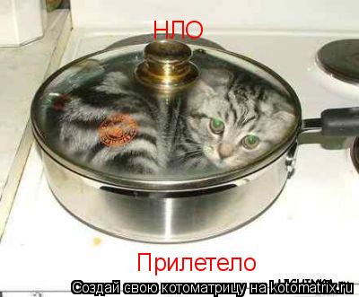 НЛО Прилетело... Котоматрица: НЛО Прилетело