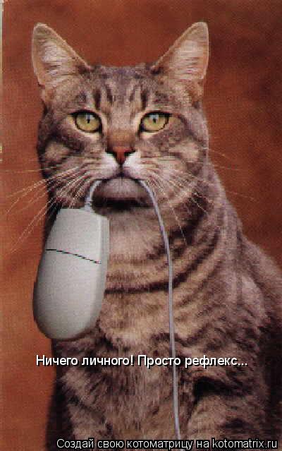 Ничего личного! Просто рефлекс...... Котоматрица: Ничего личного! Просто рефлекс...