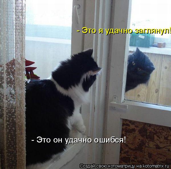 - Это я удачно заглянул! - Это он удачно ошибся!... Котоматрица: - Это я удачно заглянул! - Это он удачно ошибся!