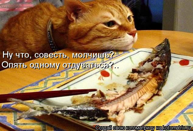 Котоматрица: Ну что, совесть, молчишь? Опять одному отдуваться?..