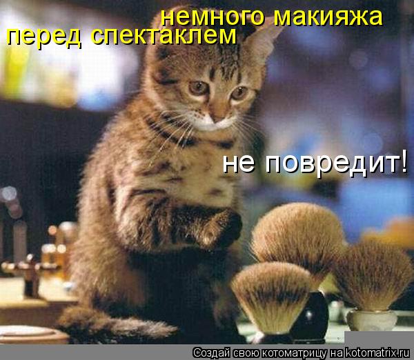 немного макияжа перед спектаклем не повредит!... Котоматрица: немного макияжа перед спектаклем не повредит!