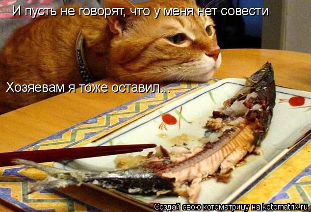 И пусть не говорят, что у меня нет совести Хозяевам я тоже оставил...... Котоматрица: И пусть не говорят, что у меня нет совести Хозяевам я тоже оставил...