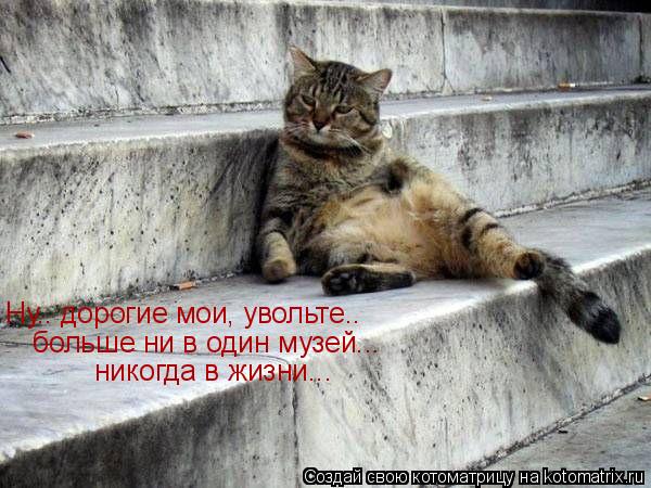 Ну.. дорогие мои, увольте.. больше ни в один музей... никогда в жизни...... Котоматрица: Ну.. дорогие мои, увольте.. больше ни в один музей... никогда в жизни...