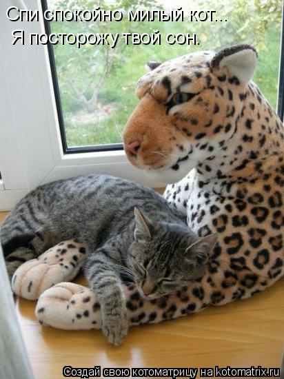 Котоматрица: Спи спокойно милый кот... Я посторожу твой сон.