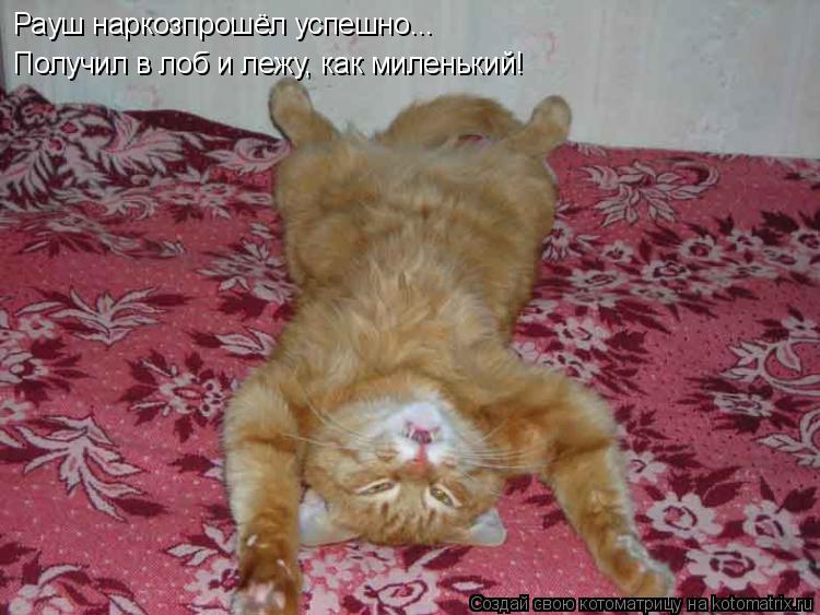 Рауш наркозпрошёл успешно... Получил в лоб и лежу, как миленький!... Котоматрица: Рауш наркозпрошёл успешно... Получил в лоб и лежу, как миленький!