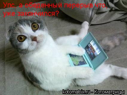 Упс, а обеденный перерыв что, уже закончился?... Котоматрица: Упс, а обеденный перерыв что, уже закончился?