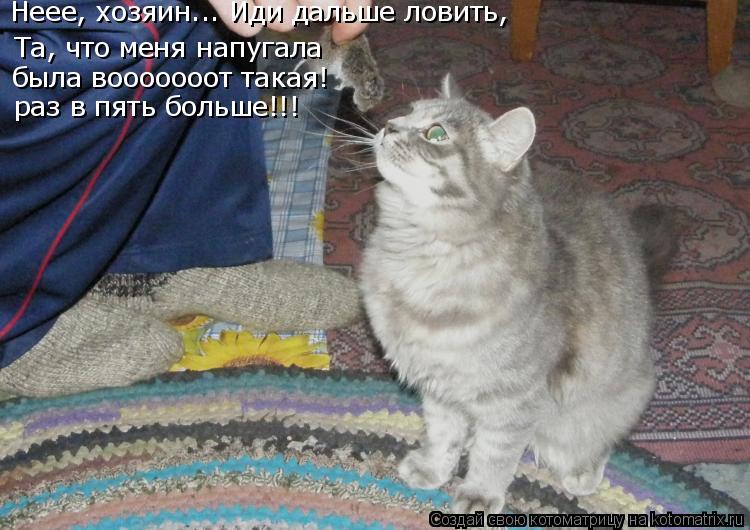 Та, что меня напугала была вооооооот такая! раз в пять больше!!! Неее, хозяин... Иди дальше ловить,... Котоматрица: Та, что меня напугала была вооооооот такая! раз в пять больше!!! Неее, хозяин... Иди дальше ловить,