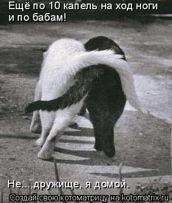 Ещё по 10 капель на ход ноги и по бабам! Не...,дружище, я домой.... Котоматрица: Ещё по 10 капель на ход ноги и по бабам! Не...,дружище, я домой.