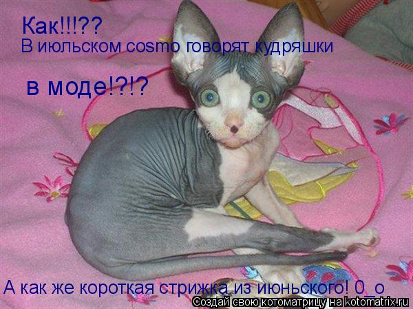 Как!!!?? А как же короткая стрижка из июньского! 0_о В июльском cosmo говорят кудряшки в моде!?!?... Котоматрица: Как!!!?? А как же короткая стрижка из июньского! 0_о В июльском cosmo говорят кудряшки в моде!?!?