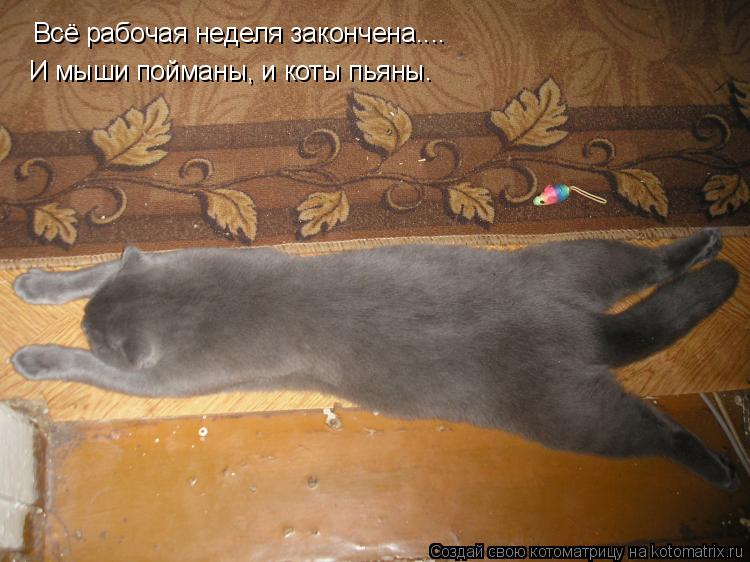 Всё рабочая неделя закончена.... И мыши пойманы, и коты пьяны.... Котоматрица: Всё рабочая неделя закончена.... И мыши пойманы, и коты пьяны.