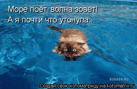 Котоматрица: Море поёт, волна зовёт! А я почти что утонула....