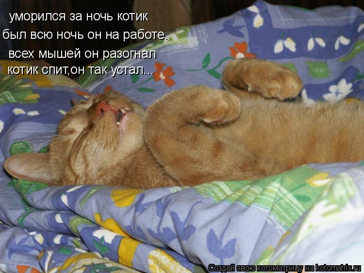 уморился за ночь котик был всю ночь он на работе. всех мышей он разогнал котик спит,он так устал...... Котоматрица: уморился за ночь котик был всю ночь он на работе. всех мышей он разогнал котик спит,он так устал...