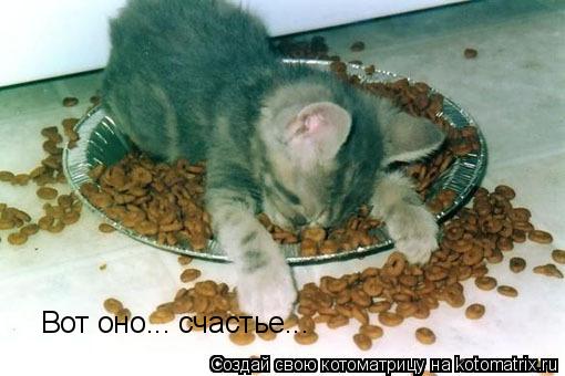 Вот оно... счастье...... Котоматрица: Вот оно... счастье...