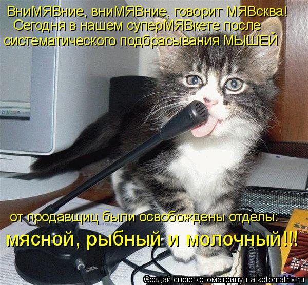 ВниМЯВние, вниМЯВние, говорит МЯВсква! Сегодня в нашем суперМЯВкете после систематического подбрасыва... Котоматрица: ВниМЯВние, вниМЯВние, говорит МЯВсква! Сегодня в нашем суперМЯВкете после систематического подбрасывания МЫШЕЙ от продавщиц были освобож