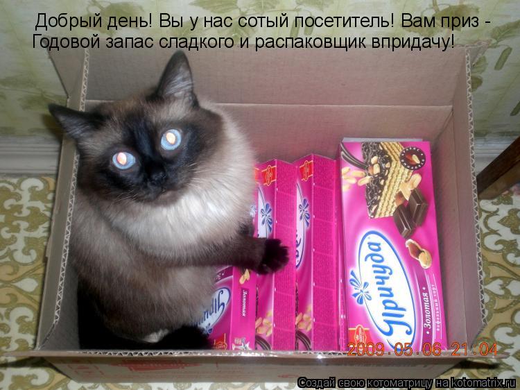 Котоматрица: Добрый день! Вы у нас сотый посетитель! Вам приз - Годовой запас сладкого и распаковщик впридачу!