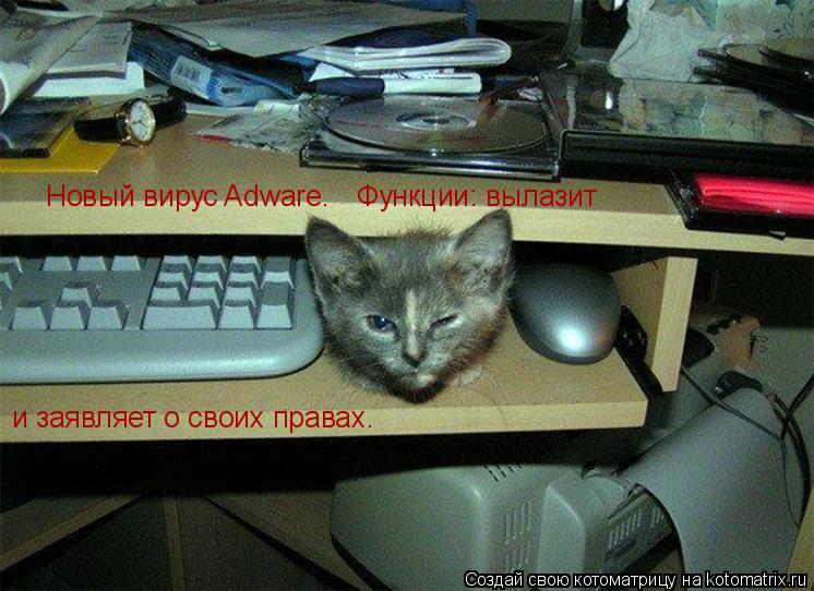 Котоматрица: Новый вирус Adware.  Функции: вылазит и заявляет о своих правах.