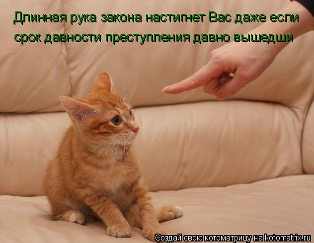 Котоматрица: Длинная рука закона настигнет Вас даже если  срок давности преступления давно вышедши