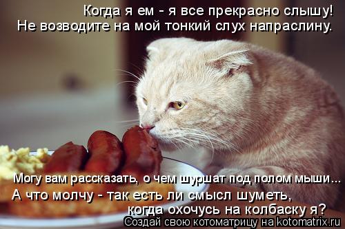 Котоматрица: Когда я ем - я все прекрасно слышу! Не возводите на мой тонкий слух напраслину. когда охочусь на колбаску я? А что молчу - так есть ли смысл шум