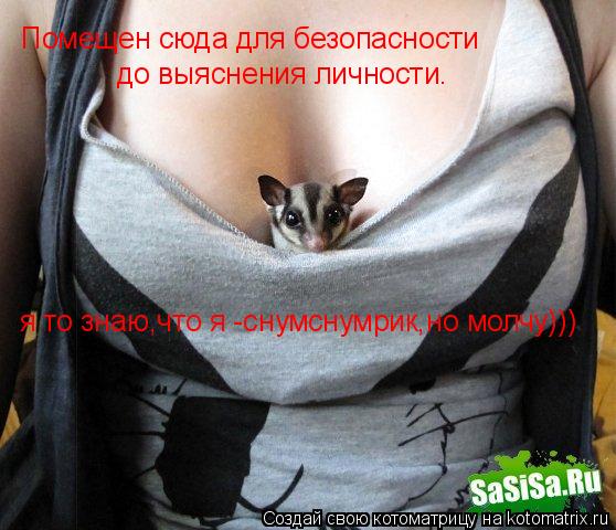 Котоматрица: Помещен сюда для безопасности до выяснения личности. я то знаю,что я -снумснумрик,но молчу)))