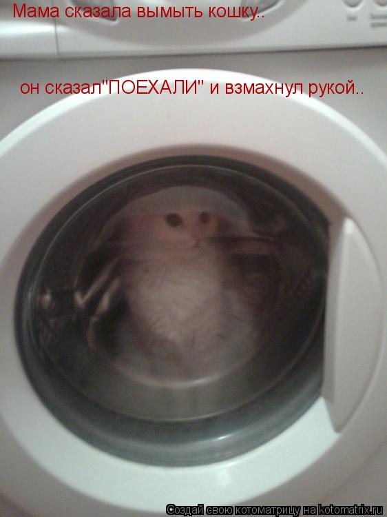 Мама сказала вымыть кошку.. он сказал"ПОЕХАЛИ" и взмахнул рукой..... Котоматрица: Мама сказала вымыть кошку.. он сказал"ПОЕХАЛИ" и взмахнул рукой..