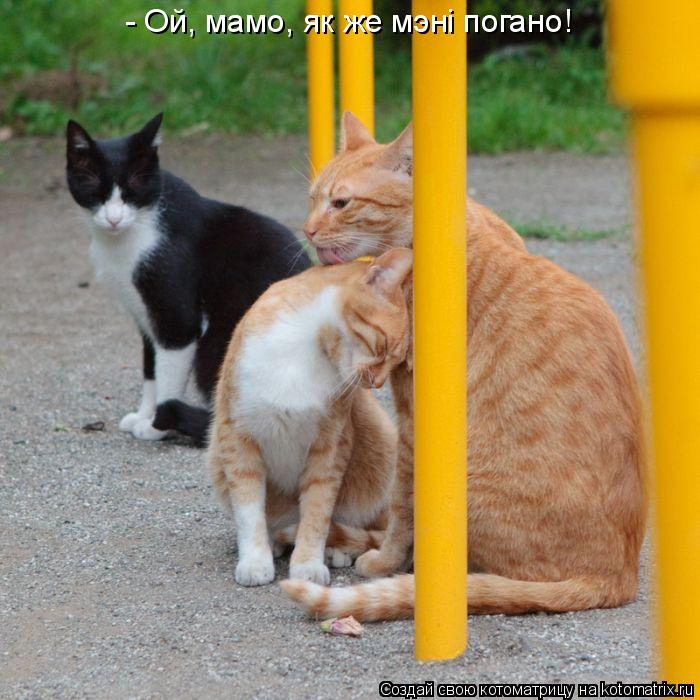 - Ой, мамо, як же мэнi погано!... Котоматрица: - Ой, мамо, як же мэнi погано!