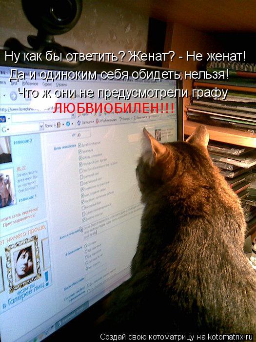 Котоматрица: Что ж они не предусмотрели графу ЛЮБВИОБИЛЕН!!! Ну как бы ответить? Женат? - Не женат! Да и одиноким себя обидеть нельзя!