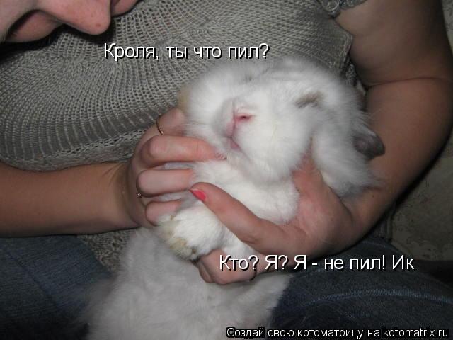 Кроля, ты что пил? Кто? Я? Я - не пил! Ик... Котоматрица: Кроля, ты что пил? Кто? Я? Я - не пил! Ик