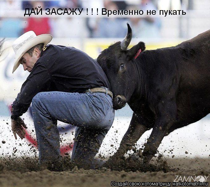 Котоматрица: ДАЙ ЗАСАЖУ ! ! ! Временно не пукать