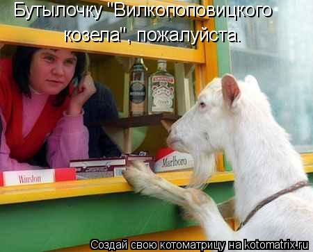 Котоматрица: Бутылочку "Вилкопоповицкого козела", пожалуйста.