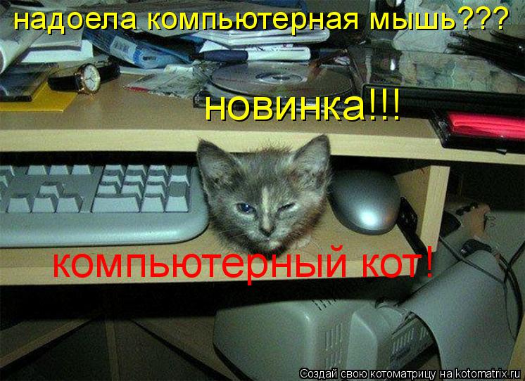 Котоматрица: надоела компьютерная мышь??? новинка!!! компьютерный кот!