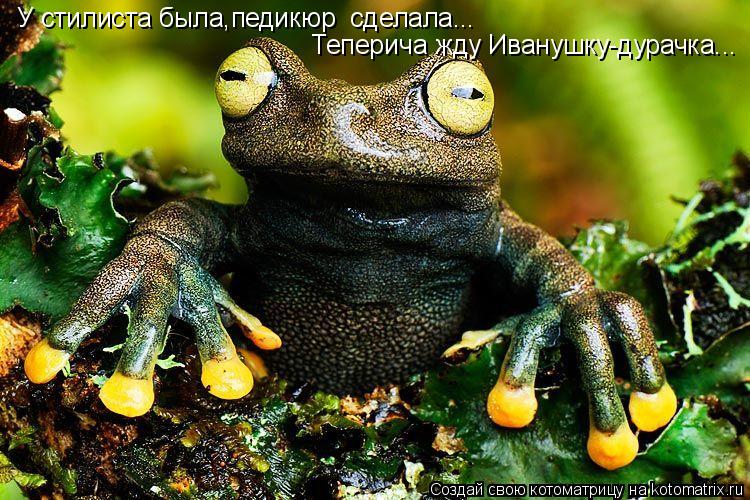 Котоматрица: У стилиста была,педикюр  сделала... Теперича жду Иванушку-дурачка...