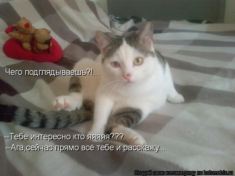 Котоматрица: Чего подглядываешь?!... --Тебе интересно кто яяяяя??? --Ага,сейчас прямо всё тебе и расскажу...