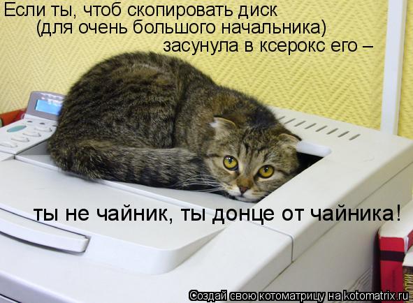 Если ты, чтоб скопировать диск (для очень большого начальника) засунула в ксерокс его – ты не ч... Котоматрица: Если ты, чтоб скопировать диск (для очень большого начальника) засунула в ксерокс его – ты не чайник, ты донце от чайника!