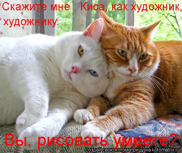 Скажите мне , Киса, как художник, художнику. Вы, рисовать умеете?... Котоматрица: Скажите мне , Киса, как художник, художнику. Вы, рисовать умеете?