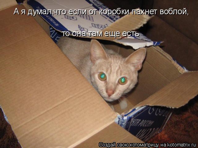 А я думал,что если от коробки пахнет воблой, то она там еще есть... Котоматрица: А я думал,что если от коробки пахнет воблой, то она там еще есть