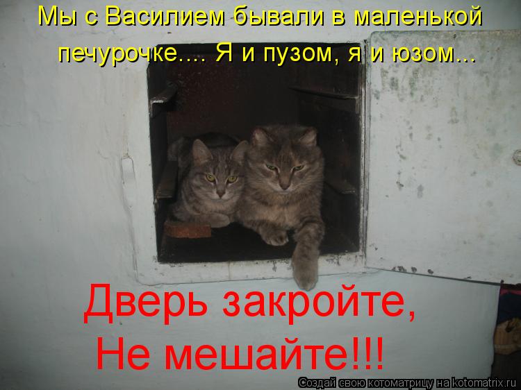 Котоматрица: Мы с Василием бывали в маленькой печурочке.... Я и пузом, я и юзом... Дверь закройте, Не мешайте!!!