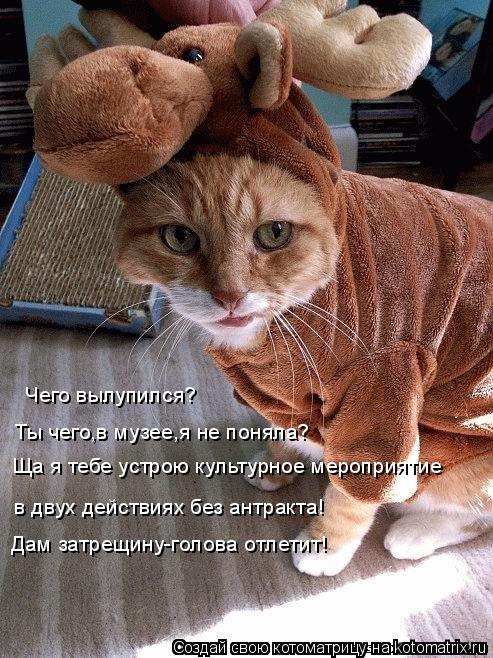 Котоматрица: Чего вылупился? Ты чего,в музее,я не поняла? Ща я тебе устрою культурное мероприятие в двух действиях без антракта! Дам затрещину-голова отл