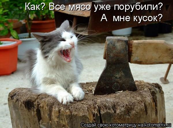 Котоматрица: А  мне кусок? Как? Все мясо уже порубили?
