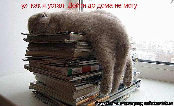 Котоматрица: ух, как я устал. Дойти до дома не могу