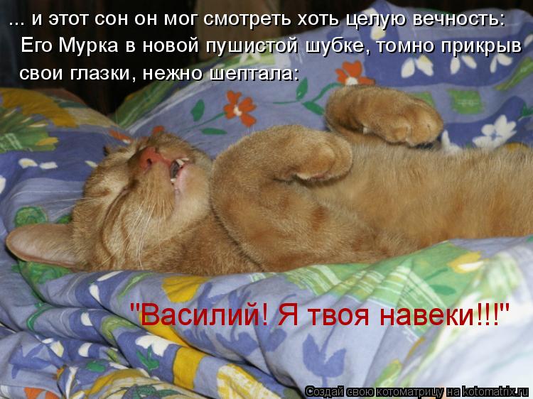 Котоматрица: ... и этот сон он мог смотреть хоть целую вечность: Его Мурка в новой пушистой шубке, томно прикрыв свои глазки, нежно шептала: "Василий! Я твоя