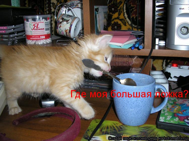 Котоматрица: Где моя большая ложка?