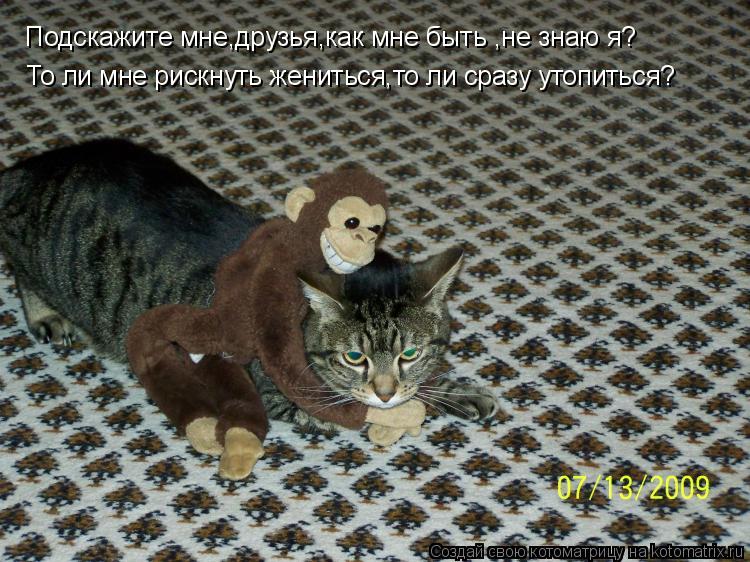 Котоматрица: Подскажите мне,друзья,как мне быть ,не знаю я? То ли мне рискнуть жениться,то ли сразу утопиться?