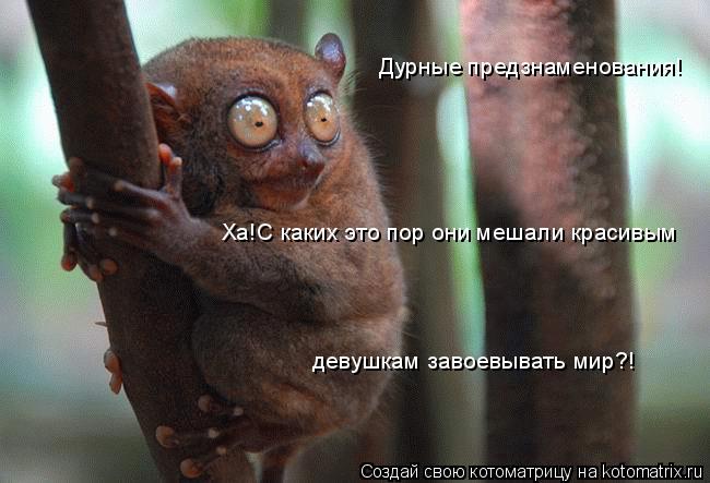 Котоматрица: Дурные предзнаменования! Ха!С каких это пор они мешали красивым девушкам завоевывать мир?!