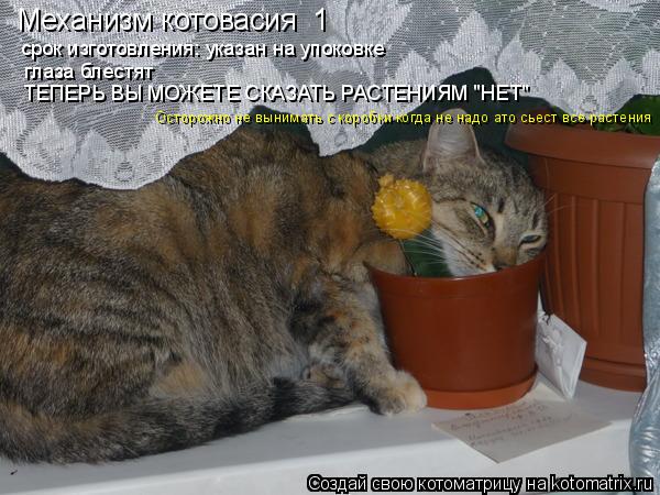 Котоматрица: Механизм котовасия №1  срок изготовления: указан на упоковке глаза блестят ТЕПЕРЬ ВЫ МОЖЕТЕ СКАЗАТЬ РАСТЕНИЯМ "НЕТ" Осторожно не вынимать с