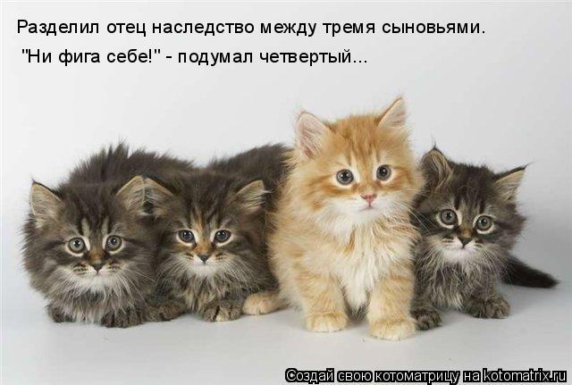 Котоматрица: Разделил отец наследство между тремя сыновьями.  "Ни фига себе!" - подумал четвертый...