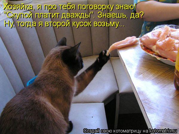 Хозяйка, я про тебя поговорку знаю! "Скупой платит дважды". Знаешь, да? Ну, тогда я второй кусок возь... Котоматрица: Хозяйка, я про тебя поговорку знаю! "Скупой платит дважды". Знаешь, да? Ну, тогда я второй кусок возьму...